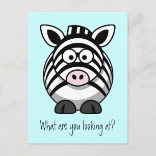 Funny Cute Zebra Postcard