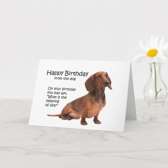 What Do You Write In A Dogs Birthday Card