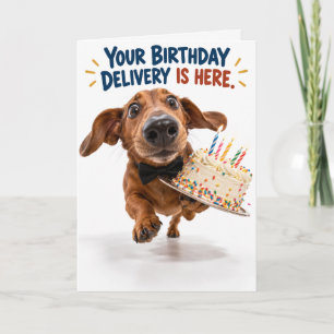 Funny Dachshund Birthday Card Fisheye Dog Humour