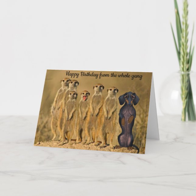 Funny Dachshund Birthday Card From The Gang (Front)