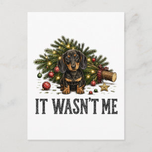 Funny Dachshund Christmas It Wasn't Me Holiday Postcard