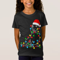 Funny Dachshund Christmas Tree Lights Led Dog Doxi