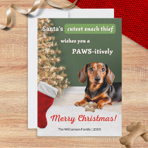 Funny Dachshund Dog Animal Christmas Humour Holiday Card