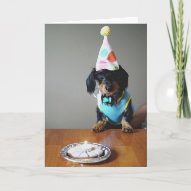 Funny Dachshund Dog Birthday Card (Front)