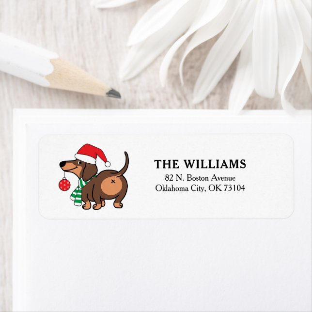 Funny Dachshund Dog Cute Merry Christmas  (Insitu)