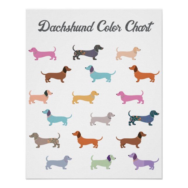 Funny Dachshund Dog Humour Colour Chart Poster (Front)