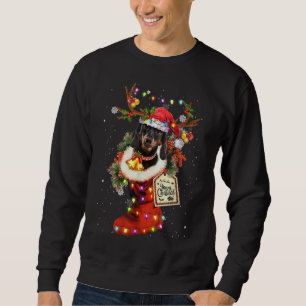 Funny Dachshund Dog In Christmas Sock Santa Hat Xm Sweatshirt