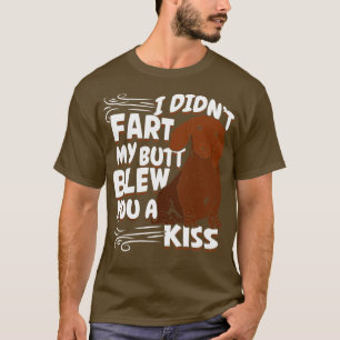 Funny Dachshund Dog Lover Gift T-Shirt