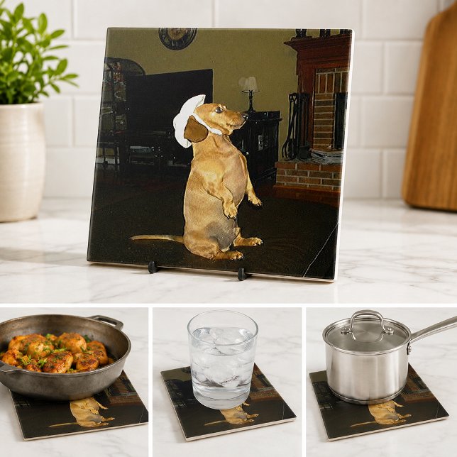 Funny Dachshund Dog Lover Sitting Pretty Kitchen Tile (Funny Dachshund Dog Lover Sitting Pretty Kitchen Ceramic Tile)