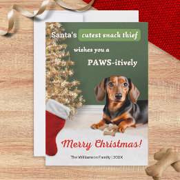 Funny Dachshund Dog Snack Thief Christmas Holiday Card