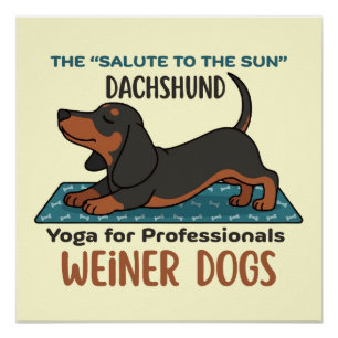 Funny dachshund doing the sun salutation (yoga) poster