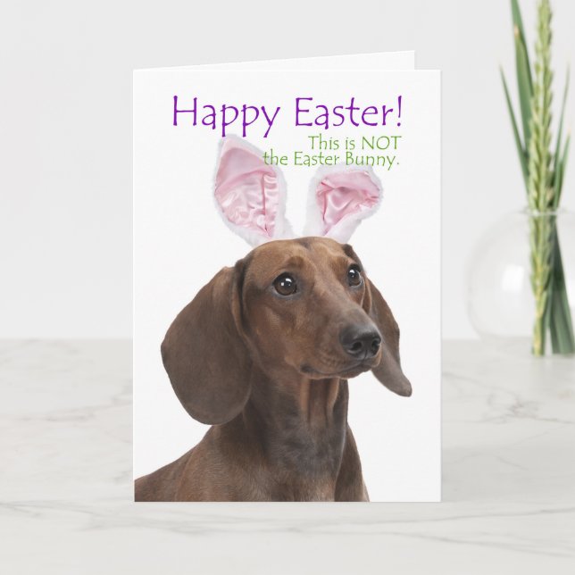 Funny Dachshund Easter Card (Front)