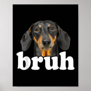 Funny Dachshund Meme Saying Bruh Funny Dog Sarcast Poster