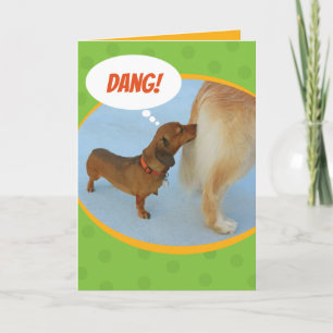 Funny Dachshund Sniffing Golden Retriever Butt Card