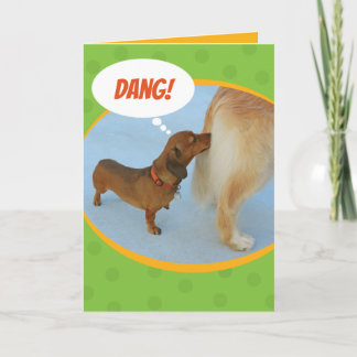 Funny Dachshund Sniffing Golden Retriever Butt Card
