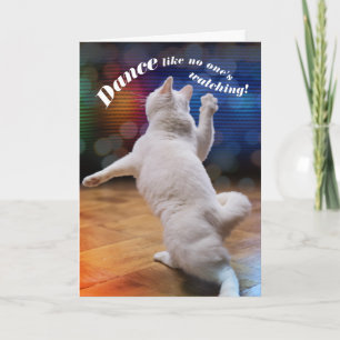 Funny Dancing Cat - No One's Watching Birthday Card