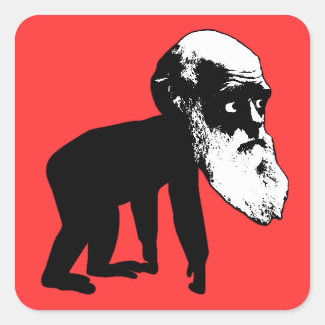 Funny Darwin evolution Square Sticker (Front)