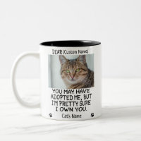 funny Dear cat, Personalised cat's photo and name