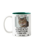 funny Dear cat, Personalised cat's photo and name