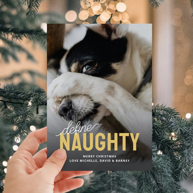Funny Define Naughty Pet Christmas Holiday Card (Creator Uploaded)