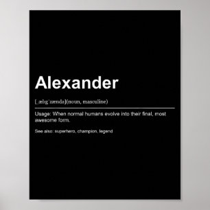 Funny Definition Quote For The Name Ander _ Poster