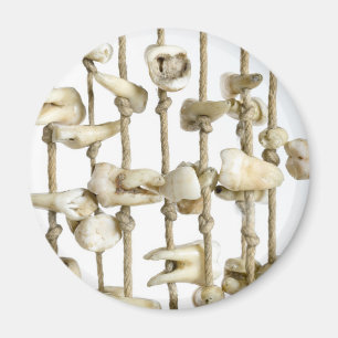 Funny Dental Photography Extracted Teeth Dentist Magnet