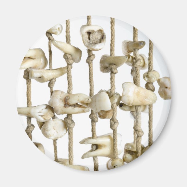 Funny Dental Photography Extracted Teeth Dentist Magnet (Front)