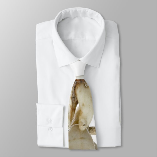 Funny Dental Photography Extracted Teeth Dentist Tie (Tied)