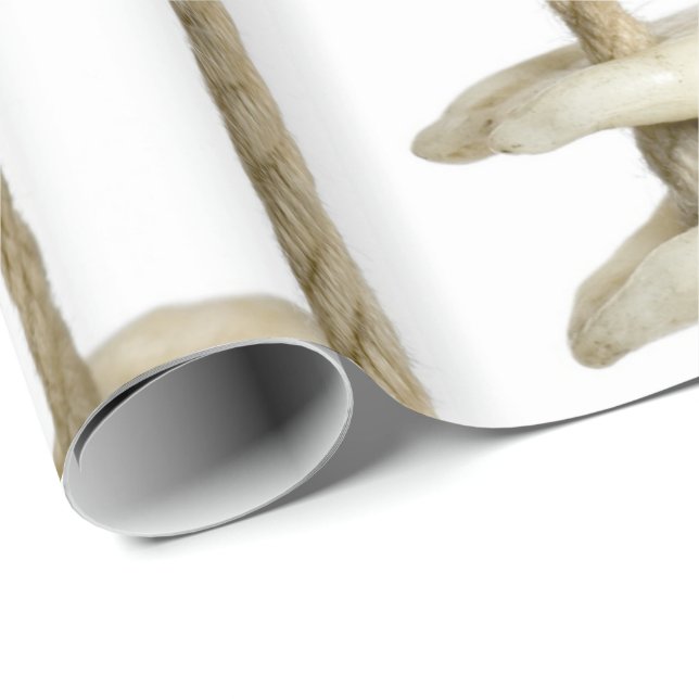 Funny Dental Photography Extracted Teeth Dentist Wrapping Paper (Roll Corner)