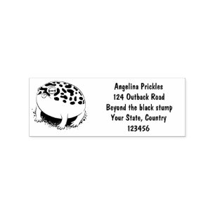 Funny desert rain frog cartoon illustration rubber stamp