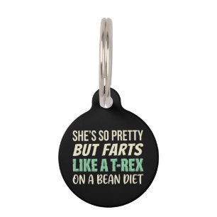 Funny Dinosaur Quote She’s So Pretty But Farts  Pet Tag