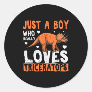 Funny Dinosaur Triceratops Apparel For Boys  Classic Round Sticker