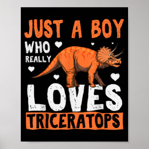 Funny Dinosaur Triceratops Apparel For Boys  Poster