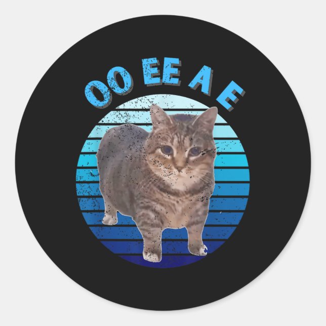Funny Distressed Oiia Cat Spinning Cat Oi Oi Uiiaa Classic Round Sticker (Front)