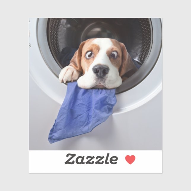 Funny dizzy beagle delicate washing (Sheet)
