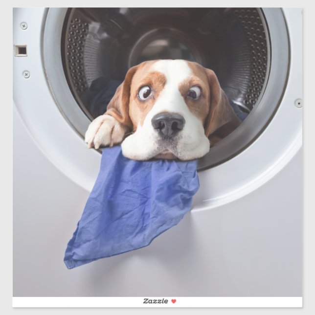 Funny dizzy beagle delicate washing (Sheet)