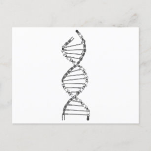 Funny DNA Cycling Bicycle Chain Mountain Bike Love Holiday Postcard