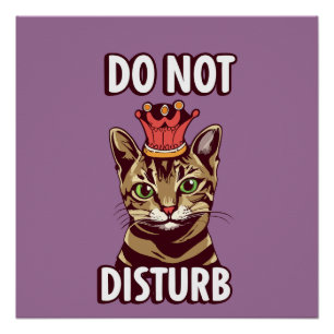 Funny Do Not Disturb Poster