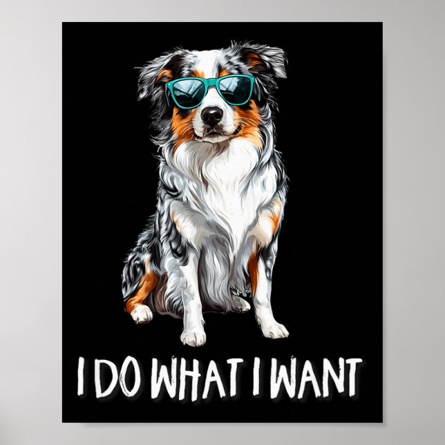 Funny Do What I Want Blue Merle Australian Shepher Poster (Front)