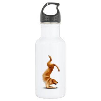 Funny dog 532 ml water bottle