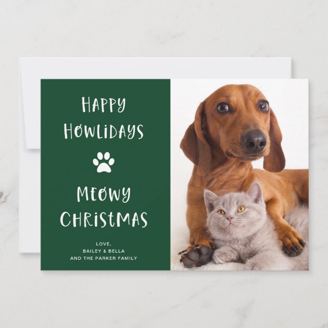 Funny Dog and Cat Christmas with Photo Holiday Card (Front)