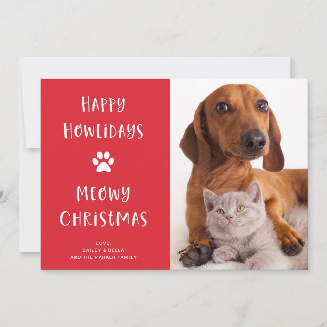 Funny Dog and Cat Christmas with Photo Holiday Card (Front)