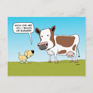 Funny Dog and Cow postcard