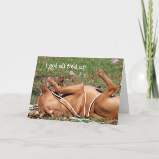 Funny dog belated birthday card