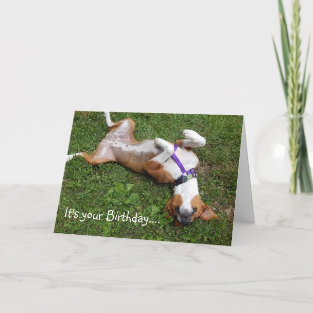 Funny Dog Birthday Card (Front)