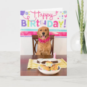 Funny Dog Birthday Card