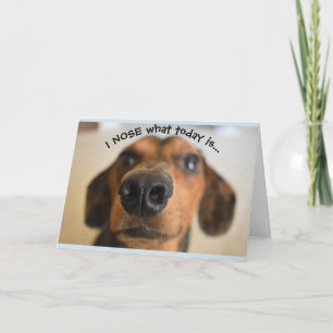 Funny Dog Birthday Card