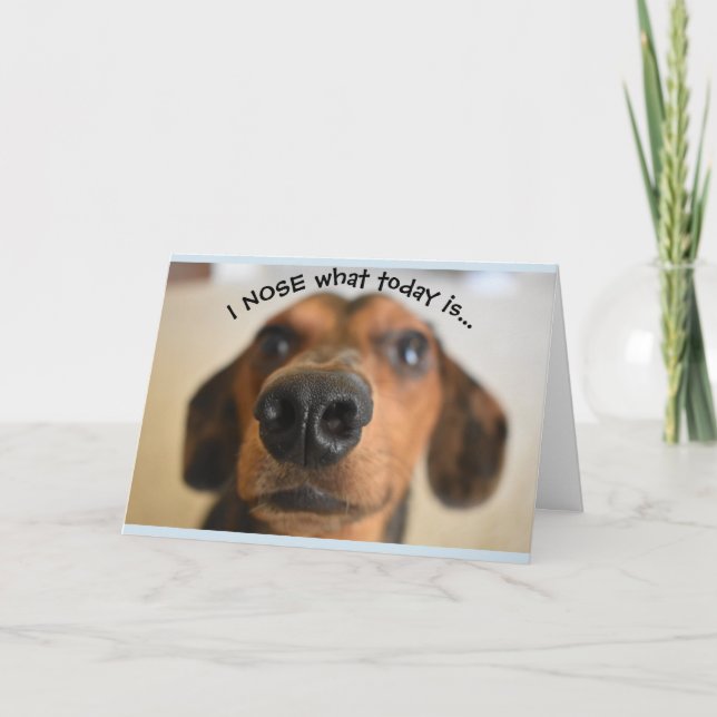 Funny Dog Birthday Card (Front)