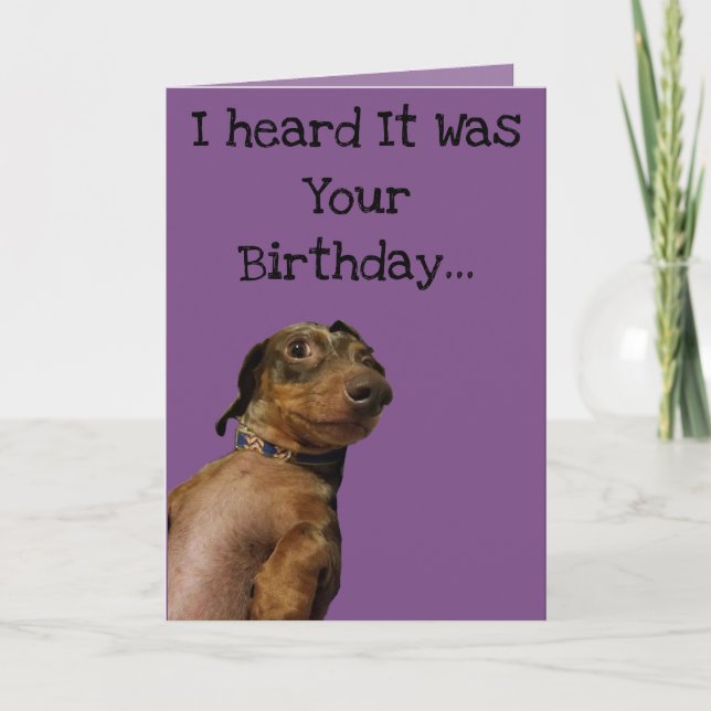 Funny Dog Birthday Card (Front)