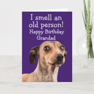 Funny dog birthday card